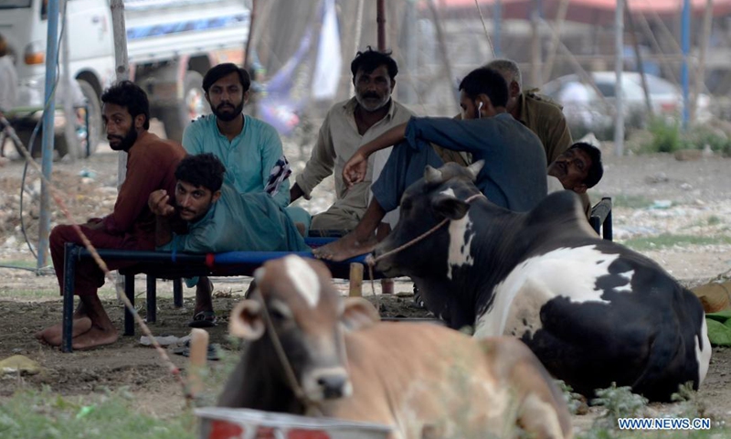 Livestock traders wait for customers at an animal market ahead of Eid al-Adha on the outskirts of Islamabad, capital of Pakistan, July 11, 2021.(Photo: Xinhua)