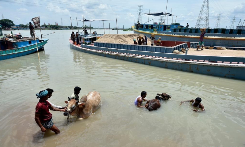Traders bathe cattle in a river in preparation for the upcoming Eid al-Adha in Dhaka, Bangladesh, on July 15, 2021.Photo:Xinhua
