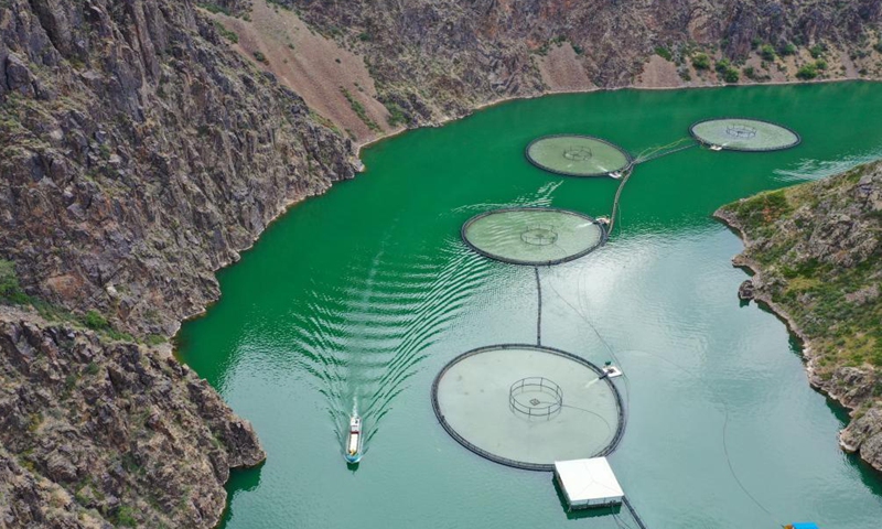 Aerial photo taken on June 17, 2021 shows a salmon farming base in Karasu Township, Nilka County, Urumqi, northwest China's Xinjiang Uygur Autonomous Region.Photo:Xinhua