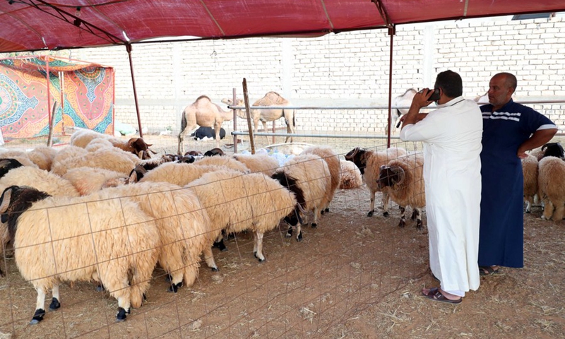 A man buys a sheep ahead of the Eid al-Adha festival at a market in Tajura, eastern Tripoli, Libya, July 16, 2021.(Photo: Xinhua)