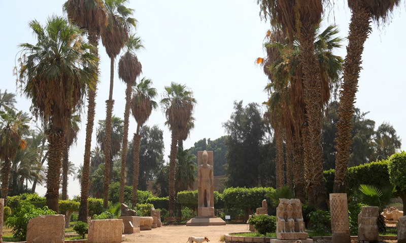 Photo taken on July 28, 2021 shows the colossal statue of ancient Egyptian Pharaoh Ramesses II and building fragments at the ruins of ancient Egyptian city of Memphis, 23 km southwest of Cairo, capital of Egypt.(Photo: Xinhua)
