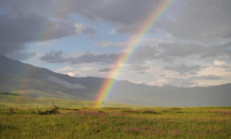 Photo taken on July 24, 2021 shows a rainbow in the sky in Hemu Village of Kanas in Altay, northwest China's Xinjiang Uygur Autonomous Region. The Kanas scenic area, which is at the height of the tourist season, received over 6.2 million tourists from May 1 to July 27, according to the local authority.(Photo: Xinhua)