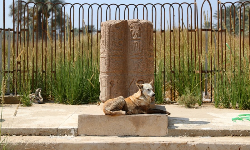 Photo taken on July 28, 2021 shows a hieroglyphics-inscribed building fragment at the ruins of ancient Egyptian city of Memphis, 23 km southwest of Cairo, capital of Egypt.(Photo: Xinhua)