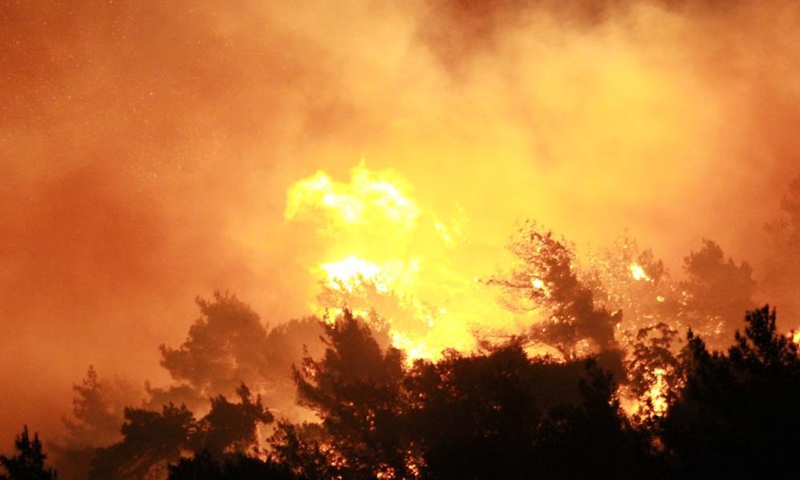 Trees are seen on fire in a forest in Akkar, northern Lebanon, on July 30, 2021. Lebanon battled rapidly spreading wildfires for the third day Friday in northern areas. Photo:Xinhua