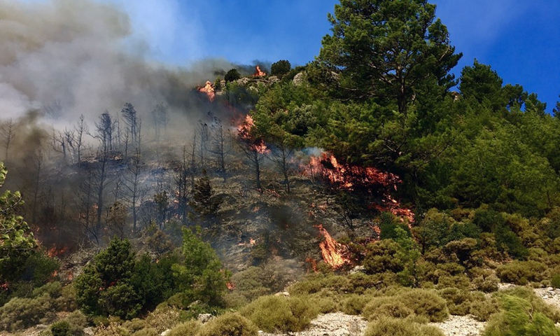 A forest fire burns near the town of Manavgat, east of the resort city of Antalya, Turkey, July 31, 2021.(Photo: Xinhua)
