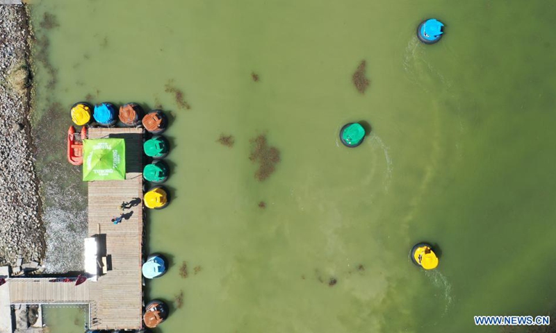Aerial photo taken on July 31, 2021 shows the scenery of the Shahu Lake scenic area in Pingluo County, Shizuishan, northwest China's Ningxia Hui Autonomous Region.(Photo: Xinhua)
