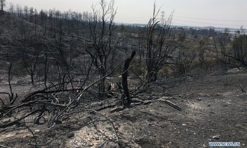 Trees are seen burned by wildfires near Manavgat, a resort town of Antalya province, Turkey, on Aug. 2, 2021. Turkey has been battling wildfires that erupted in the southern and southwestern coastal resort towns and have lasted six days, officials announced Monday. Turkish Agriculture and Forestry Minister Bekir Pakdemirli pointed out that the fire in Manavgat continues and has the potential to cause new evacuations.(Photo: Xinhua)