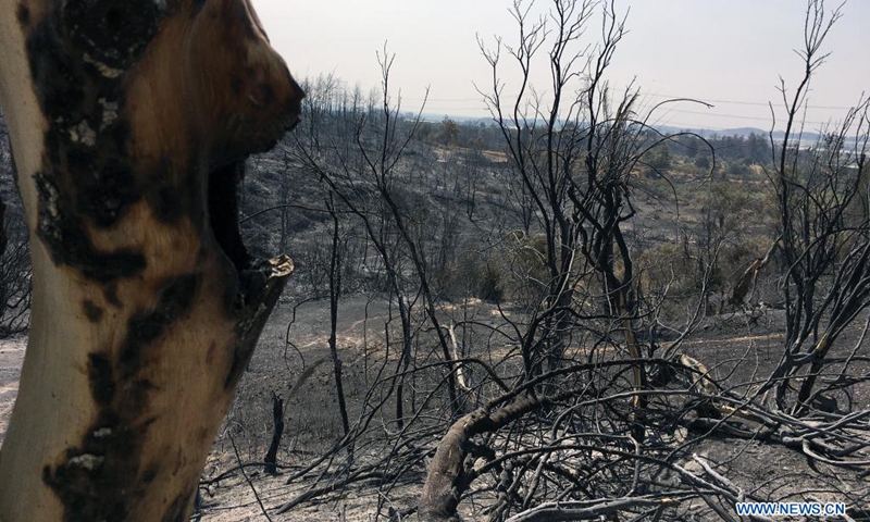 Trees are seen burned by wildfires near Manavgat, a resort town of Antalya province, Turkey, on Aug. 2, 2021. Turkey has been battling wildfires that erupted in the southern and southwestern coastal resort towns and have lasted six days, officials announced Monday. Turkish Agriculture and Forestry Minister Bekir Pakdemirli pointed out that the fire in Manavgat continues and has the potential to cause new evacuations.(Photo: Xinhua)