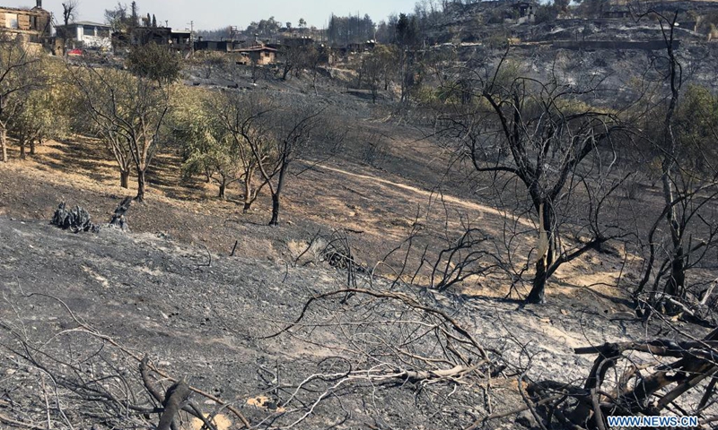 Trees are seen burned by wildfires near Manavgat, a resort town of Antalya province, Turkey, on Aug. 2, 2021. Turkey has been battling wildfires that erupted in the southern and southwestern coastal resort towns and have lasted six days, officials announced Monday. Turkish Agriculture and Forestry Minister Bekir Pakdemirli pointed out that the fire in Manavgat continues and has the potential to cause new evacuations.(Photo: Xinhua)