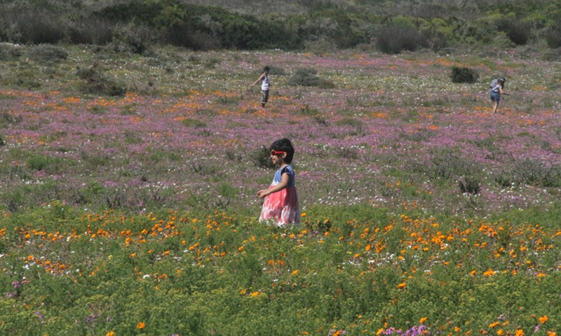 File photo shows children play in the West Coast National Park in Western Cape Province of South Africa, Sept. 11, 2016. (Photo: Xinhua)