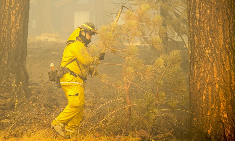 A firefighter battles against a wildfire dubbed Dixie Fire in Lassen National Forest, Northern California, the United States, on Aug. 5, 2021.(Photo: Xinhua)