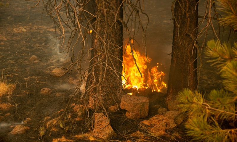 Photo taken on Aug. 5, 2021 shows an area hit by a wildfire dubbed Dixie Fire in Lassen National Forest, Northern California, the United States.(Photo: Xinhua)