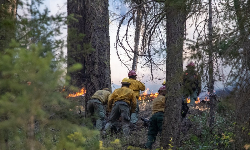 Firefighters work in an area hit by the Dixie Fire near Greenville town in Northern California, the United States, on Aug. 19, 2021.(Photo: Xinhua)