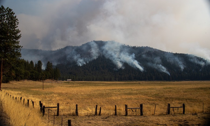 Photo taken on Aug. 19, 2021 shows an area hit by the Dixie Fire near Greenville town in Northern California, the United States.(Photo: Xinhua)