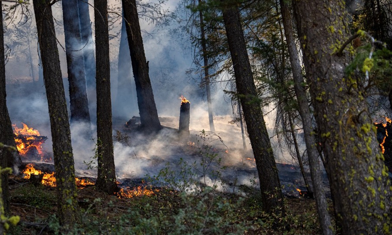 Photo taken on Aug. 19, 2021 shows an area hit by the Dixie Fire near Greenville town in Northern California, the United States.(Photo: Xinhua)