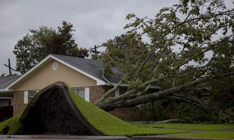 An uprooted tree lays on a house as Hurricane Ida hits Morgan City, Louisiana, the United States, on Aug. 29, 2021.(Photo: Xinhua)