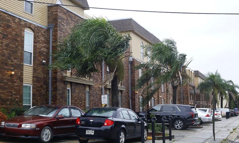 Trees along a street are blown by strong wind before Hurricane Ida's landfall in New Orleans, Louisiana, the United States, on Aug. 29, 2021.(Photo: Xinhua)