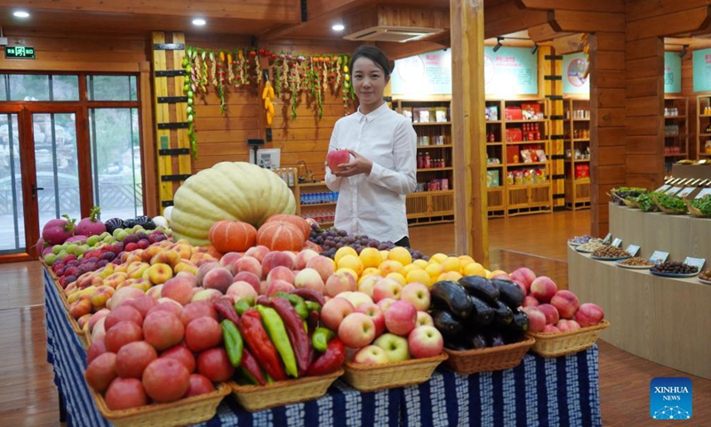 A staff member shows agricultural products at the local exhibition hall in Daguikou Village of Chengde City, north China's Hebei Province, Aug. 24, 2021. Photo:Xinhua