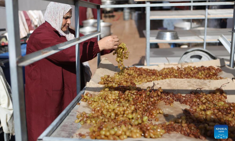 A woman works at the Dora Cooperative Association for Agricultural Industrial, in the West Bank village of Dura near Hebron, on Aug. 26, 2021.Photo:Xinhua