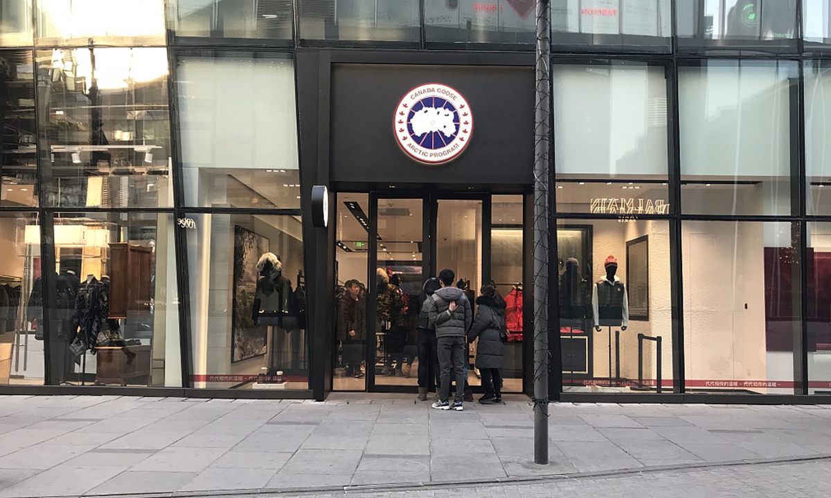 Canada Goose Photo:VCG