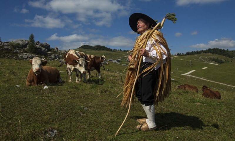 Shepherd Peter Erjavsek dressed in traditional clothes is pictured in Velika planina, Kamnik, Slovenia, Sept. 8, 2021.(Photo: Xinhua)
