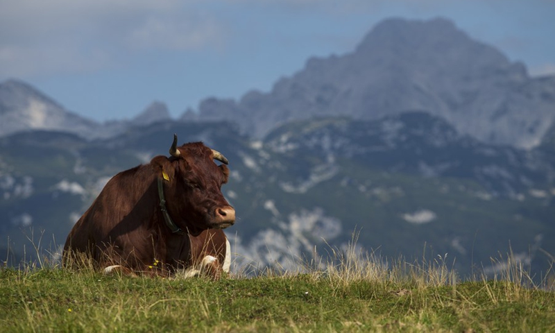 Photo taken on Sept. 8, 2021 shows a view of the Velika planina, Kamnik, Slovenia.(Photo: Xinhua)