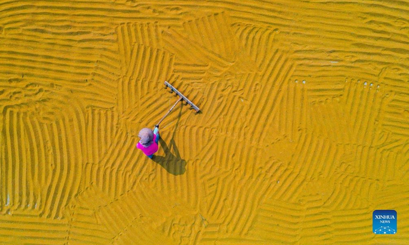 Aerial photo taken on Sept. 14, 2021 shows a villager harvesting millet in Yuanqu County of Yuncheng City, north China's Shanxi Province.(Photo:Xinhua)
