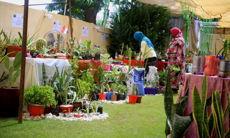 The photo shows the first cactus and succulents exhibition held in Khartoum, Sudan on Sept. 20, 2021.(Photo: Xinhua)