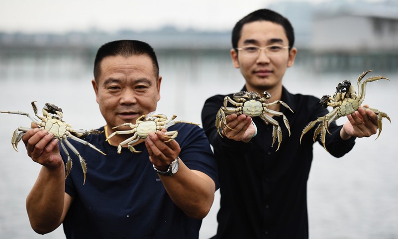 Photo shows crab farmers displaying their newly harvested crabs, taken on Sept. 21, 2018 in Suzhou, east China's Jiangsu Province.(Photo: Xinhua)