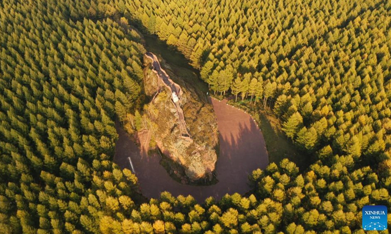Aerial photo taken on Sep 23, 2021 shows the autumn scenery of Saihanba forest farm in north China's Hebei Province.Photo:Xinhua