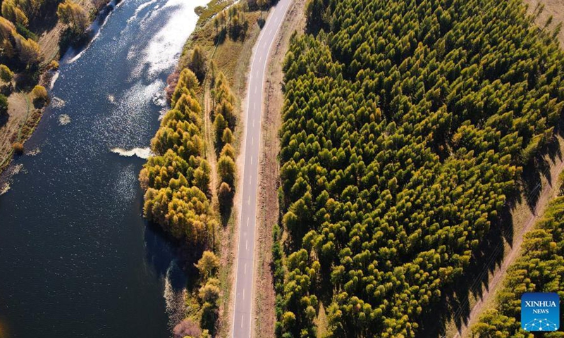 Aerial photo taken on Sep 23, 2021 shows the autumn scenery of Saihanba forest farm in north China's Hebei Province.Photo:Xinhua