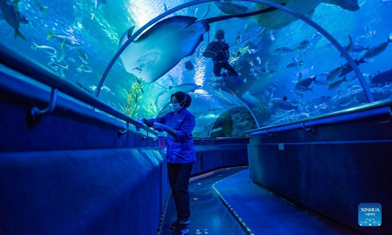 A diver feeds a shark at Aquaria KLCC in Kuala Lumpur, Malaysia, Sept. 29, 2021. Aquaria KLCC will be open for fully vaccinated visitors starting from Oct. 1.Photo:Xinhua