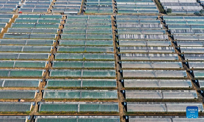 Aerial photo taken on Oct. 1, 2021 shows greenhouses in Liujiabao of Xiaodian District in Taiyuan, north China's Shanxi Province.Photo:Xinhua