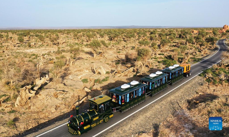 Aerial photo taken on Oct. 1, 2021 shows tourists visiting desert poplar (populus euphratica) forest on a shuttle bus in Yiwu County of Hami, northwest China's Xinjiang Uygur Autonomous Region.(Photo: Xinhua)