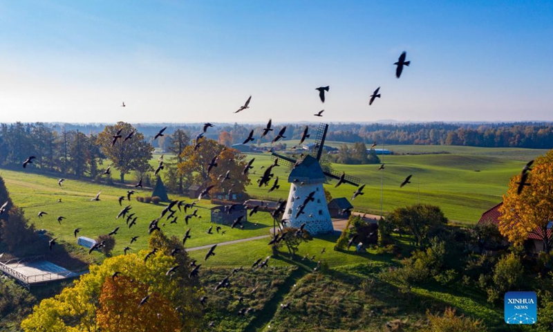 Aerial photo taken on Oct. 3, 2021 shows the autumn scenery in Cesis, Latvia. (Photo by Edijs Palens/Xinhua)


