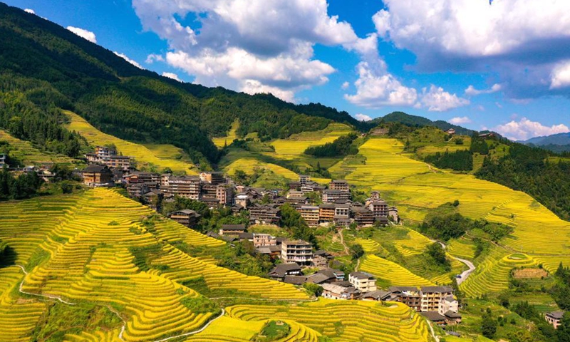 Aerial photo taken on Oct. 1, 2021 shows a view of the Longji terraced fields in Longsheng County, south China's Guangxi Zhuang Autonomous Region. (Photo by Pan Zhixiang/Xinhua)