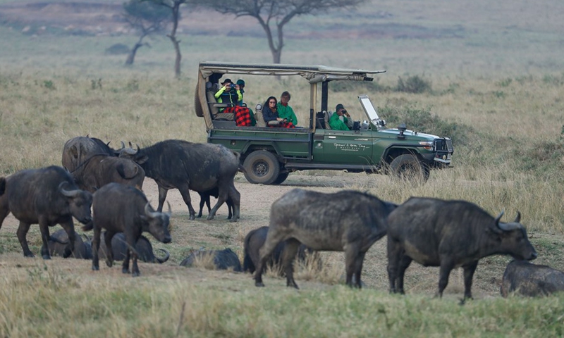 Tourists go sightseeing at the Masai Mara National Reserve, Kenya, Aug. 30, 2021.(Photo: Xinhua)