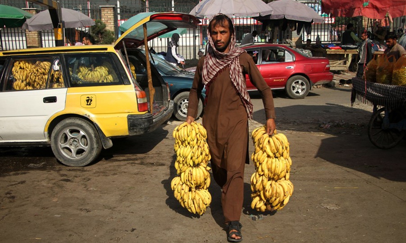 An Afghan man delivers bananas in Kabul, capital of Afghanistan, Sept. 15, 2021.(Photo: Xinhua)