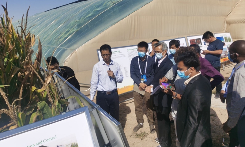 Representatives visit Minning Town to learn about the Juncao technology as well as its spread across the world as a Chinese contribution. Photo: Hu Yuwei/GT