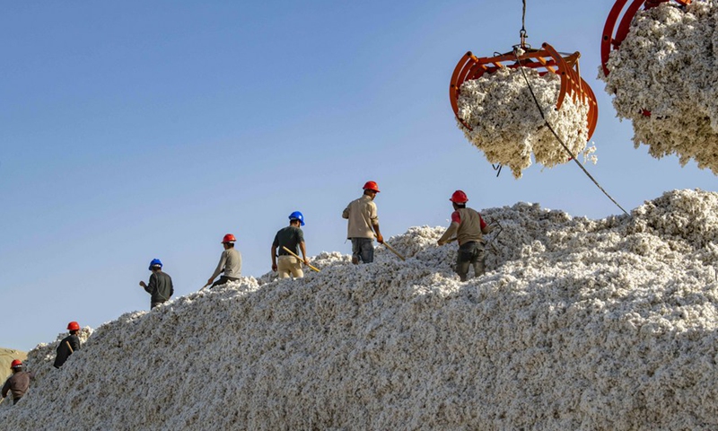 Workers pile cotton at a ginning plant in Xayar County, Aksu Prefecture, northwest China's Xinjiang Uygur Autonomous Region on Oct. 23, 2020.(Photo: Xinhua)