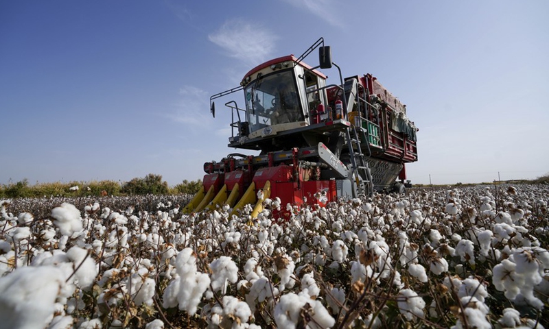 A cotton picker works in fields in Yuli County, northwest China's Xinjiang Uygur Autonomous Region, Oct. 15, 2021.(Photo: Xinhua)