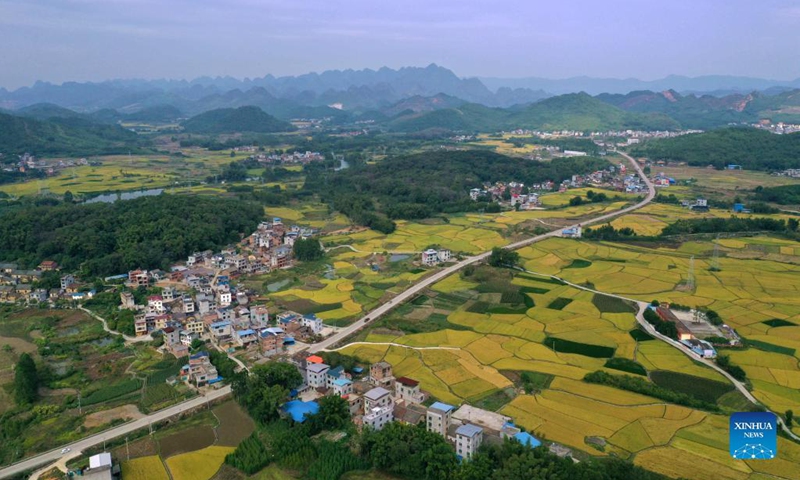 Aerial photo taken on Oct. 23, 2021 shows the countryside scenery at Xingui Village of Rongan County, south China's Guangxi Zhuang Autonomous Region.(Photo: Xinhua)