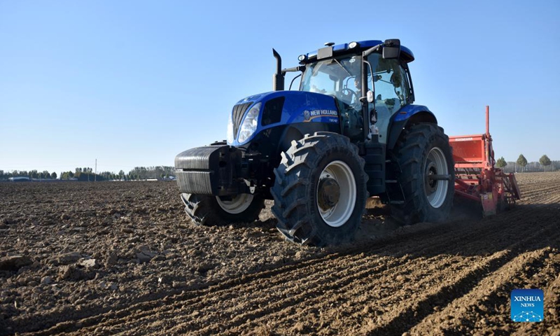 An agricultural machine sows seeds of winter wheat in the fields at Yanli Township in Xingtai, north China's Hebei Province, Oct. 26, 2021.(Photo: Xinhua)