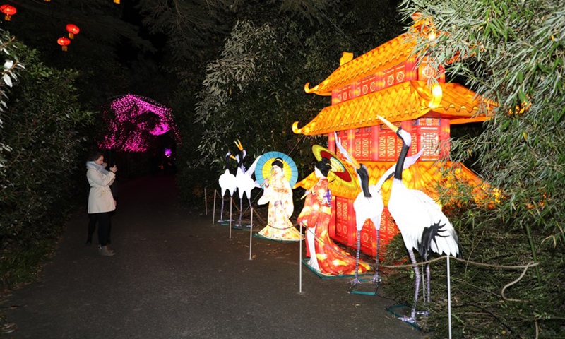 People visit the preview of a lantern show at Dublin Zoo in Dublin, Ireland, Oct. 25, 2021.(Photo: Xinhua)