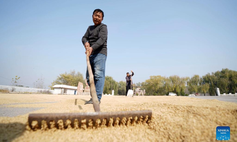 Farmers harvest rice with agricultural machinery in the field at Nanpanshi Village, Lincheng County, Xingtai of north China's Hebei Province, Oct. 30, 2021.Photo:Xinhua