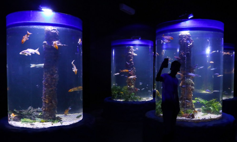 A tourist takes a selfie at the Hurghada Large Aquarium in Hurghada, Egypt, Oct. 16, 2021. (Photo: Xinhua)