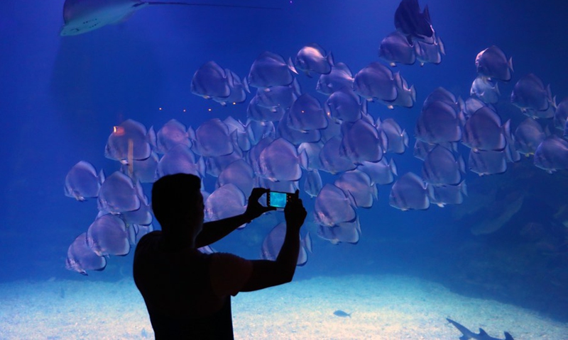 A tourist takes photos of fish at Hurghada Grand Aquarium in Hurghada, Egypt, on Oct. 16, 2021.(Photo: Xinhua)