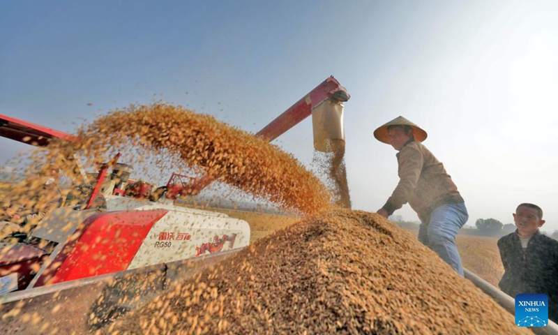 Farmers harvest rice with agricultural machinery in the field at Nanpanshi Village, Lincheng County, Xingtai of north China's Hebei Province, Oct. 30, 2021.Photo:Xinhua