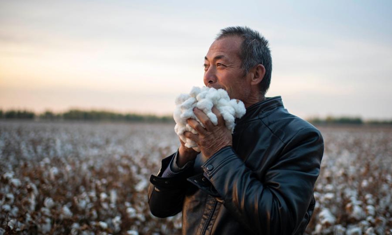 Lu Gaolin holds cotton at a cotton field in Shawan City, northwest China's Xinjiang Uygur Autonomous Region, Oct. 23, 2021.(Photo: Xinhua)