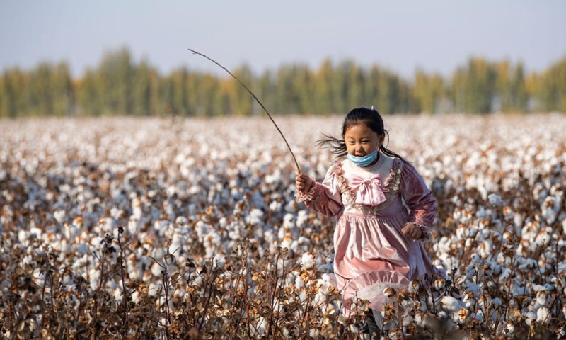 Lu Gaolin's granddaughter runs at a cotton field in Shawan City, northwest China's Xinjiang Uygur Autonomous Region, Oct. 24, 2021.(Photo: Xinhua)